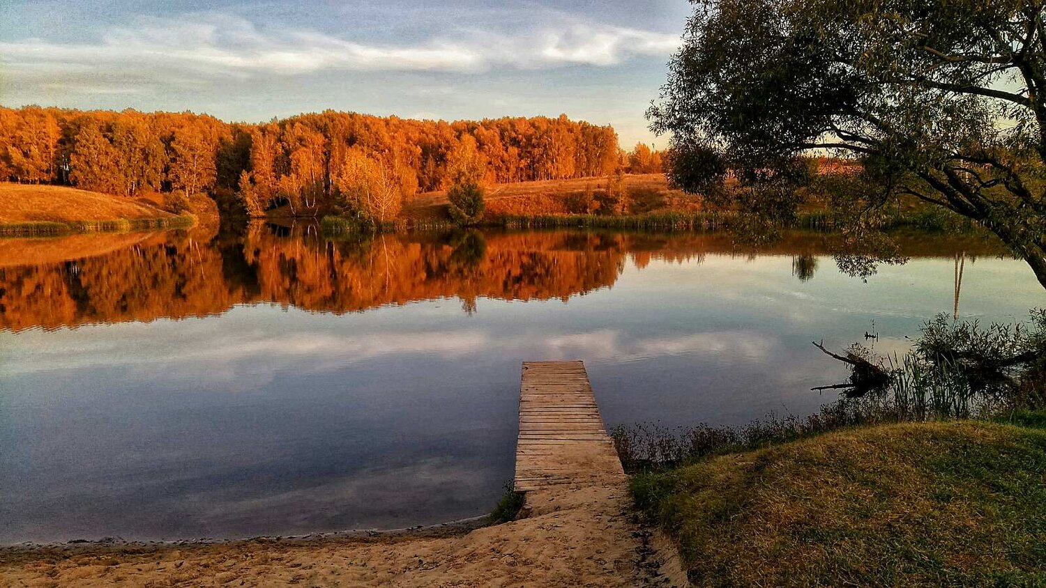 Photo #9720781