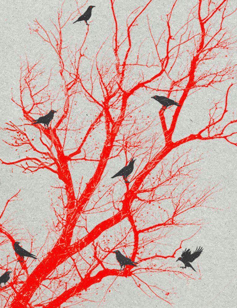 Photograph by Lana Cardi