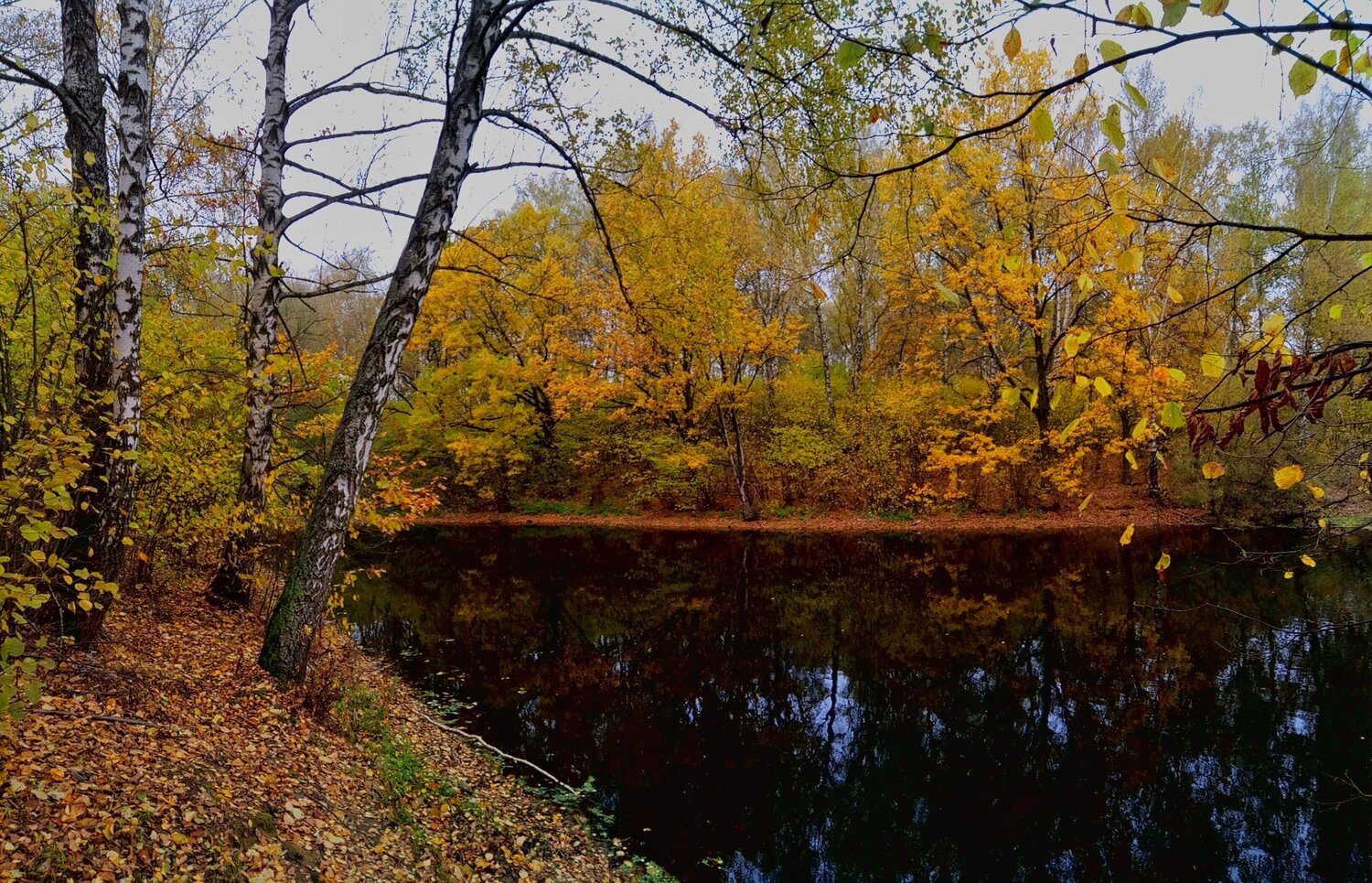 Photo #9720787