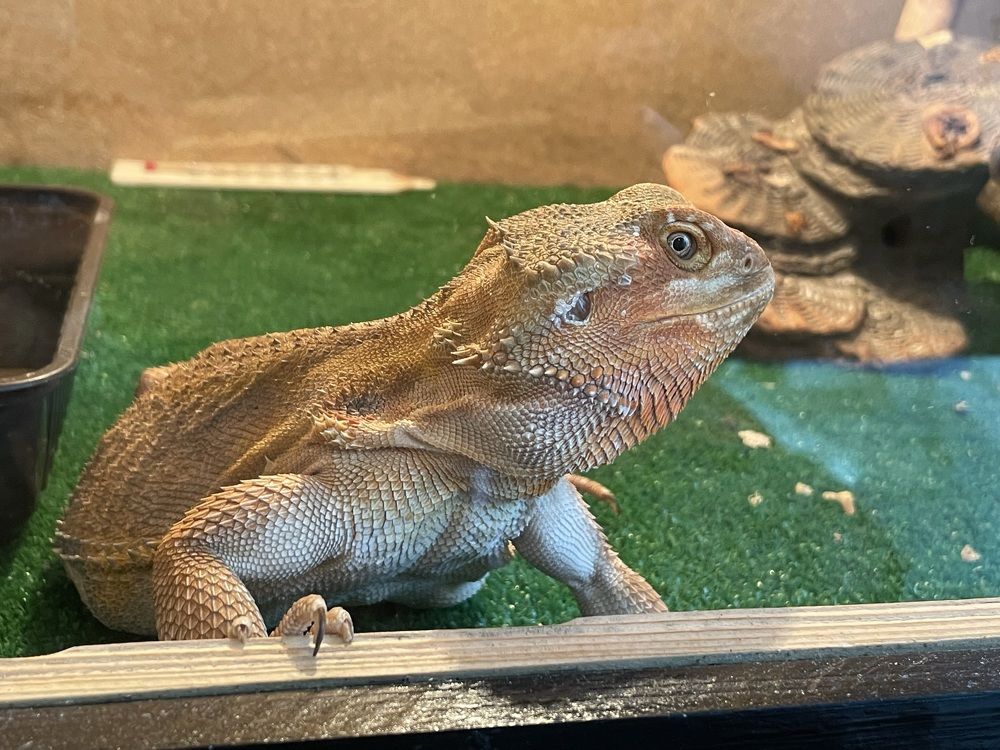 Photograph by Ирина Федорова