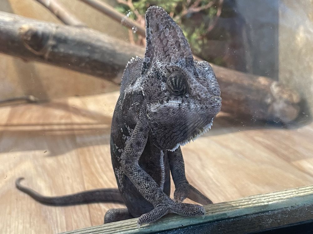 Photograph by Ирина Федорова