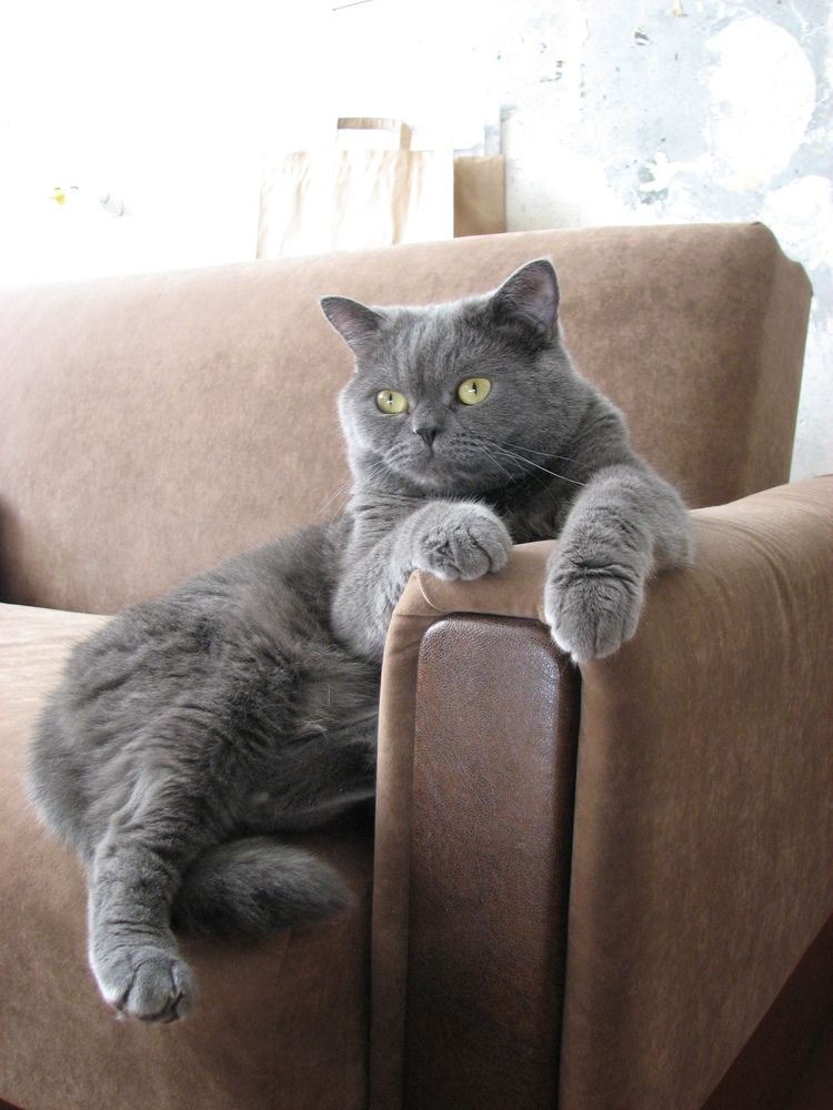 Photograph by Ирина Федорова