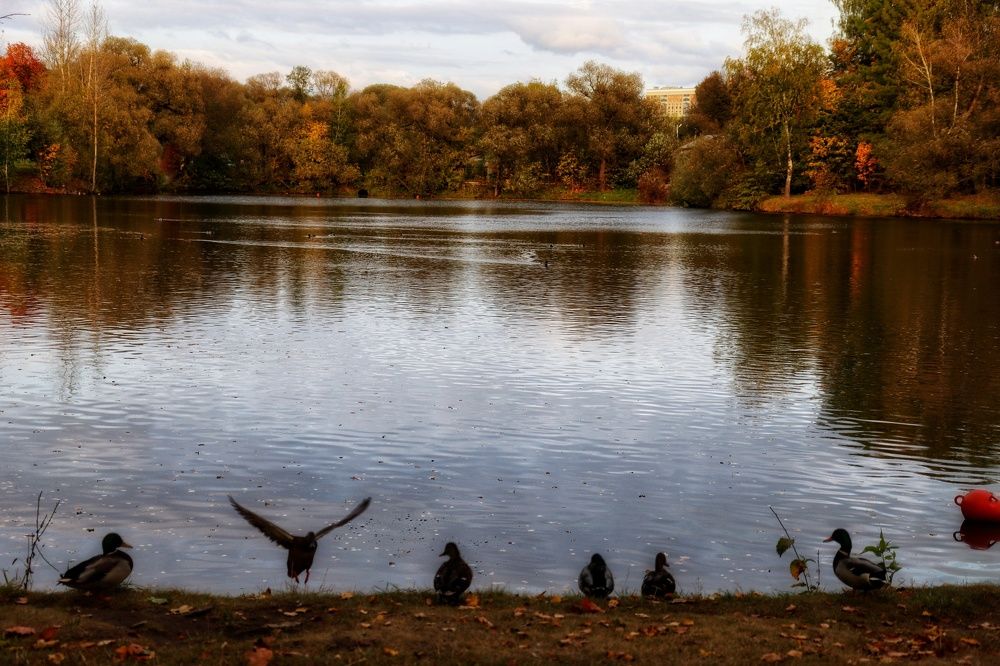 Photograph by Ирина Новицкая