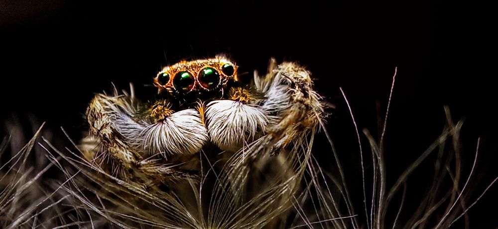 Фотография автора Mahdi Mohammadi