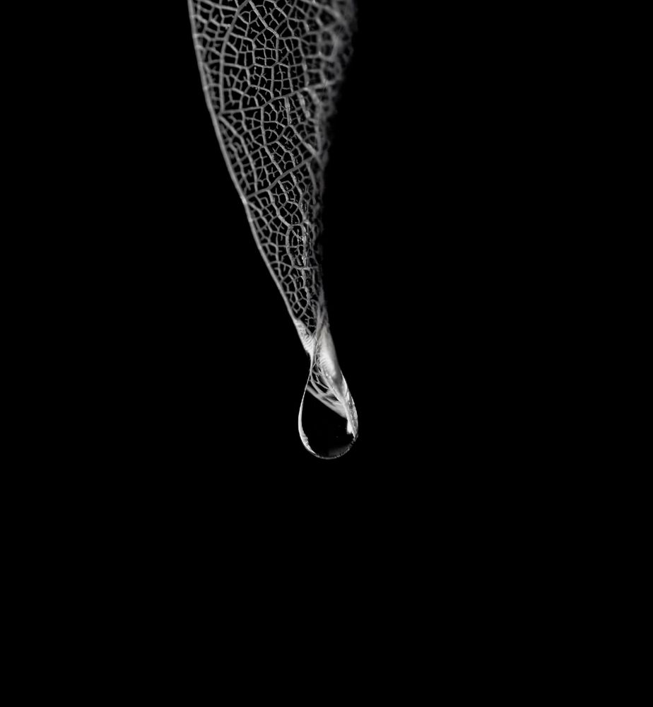 Photograph by Ольга Попова