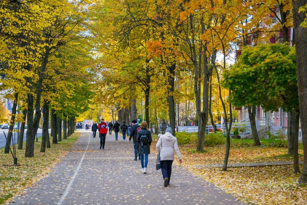 Фотография автора Елена Емельянова