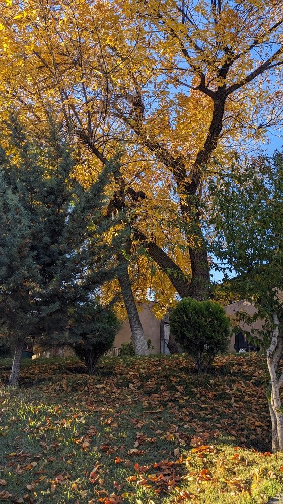 Photograph by Lilit Petrosyan