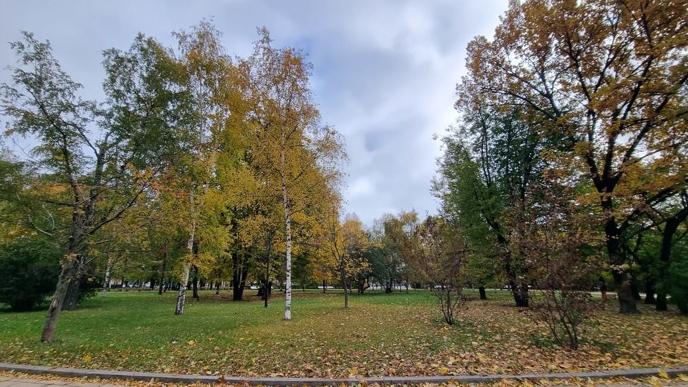 Фотография автора Марина Карасева