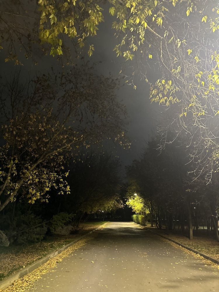 Photograph by Меруерт