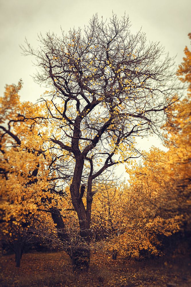 Photograph by Farzad Ajori