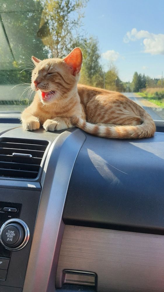 Photograph by Виктория Образцова