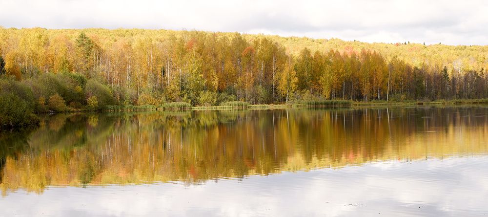 Photograph by Светлана Семенова