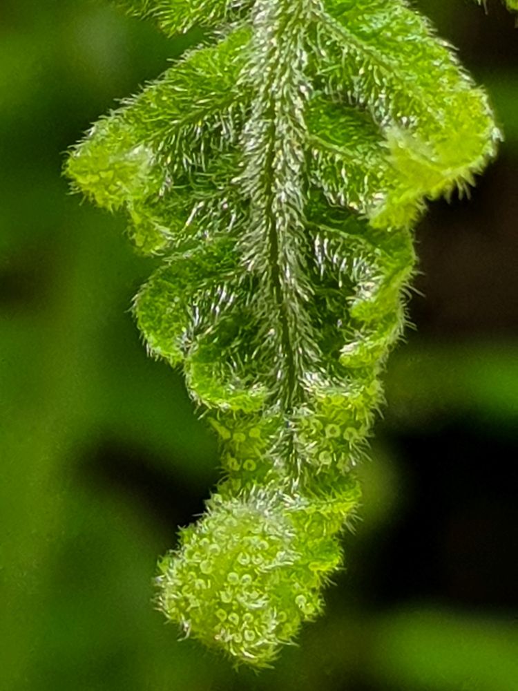 Photograph by adriana menez