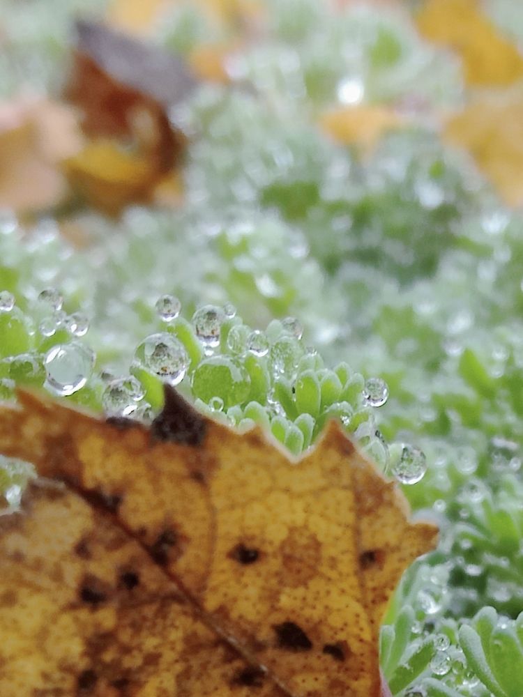 Photograph by Татьяна Гулакова