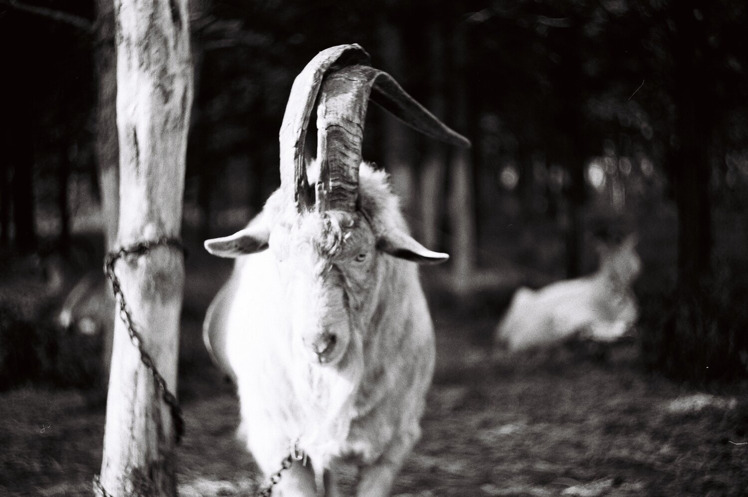 Photo #9720908