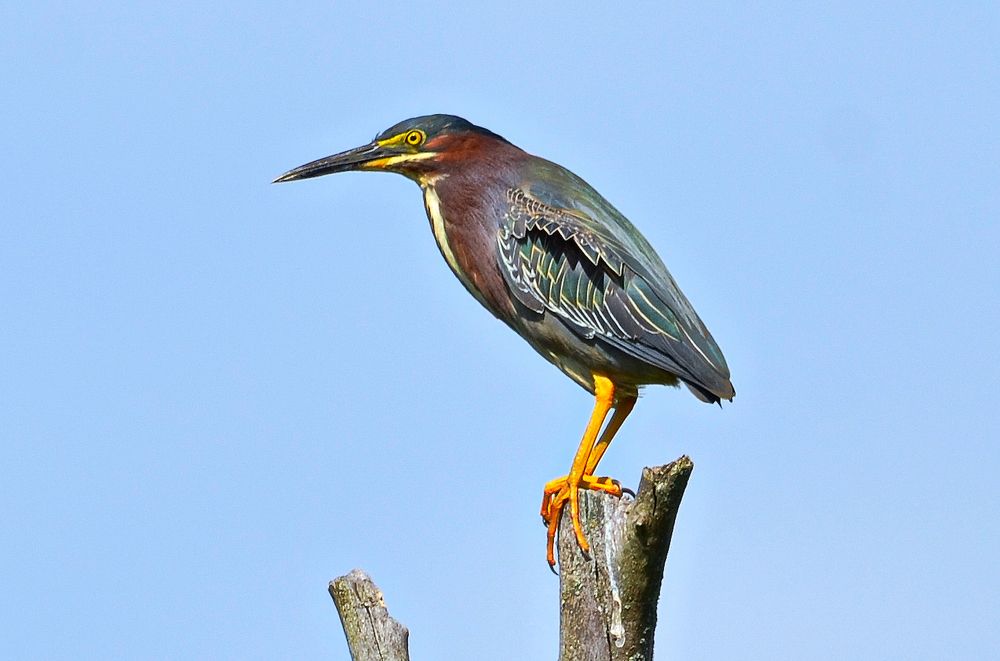 Photograph by Ken Oliver