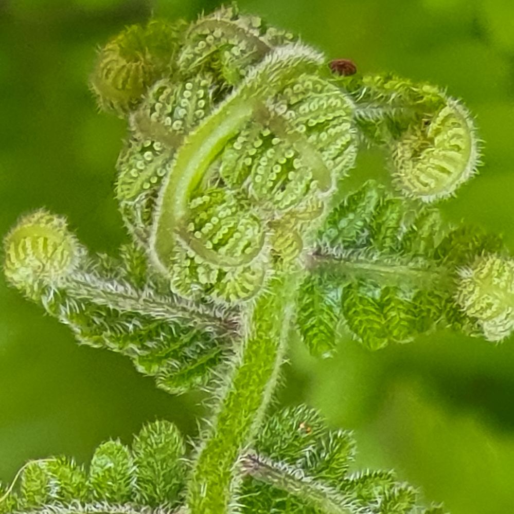 Photograph by adriana menez