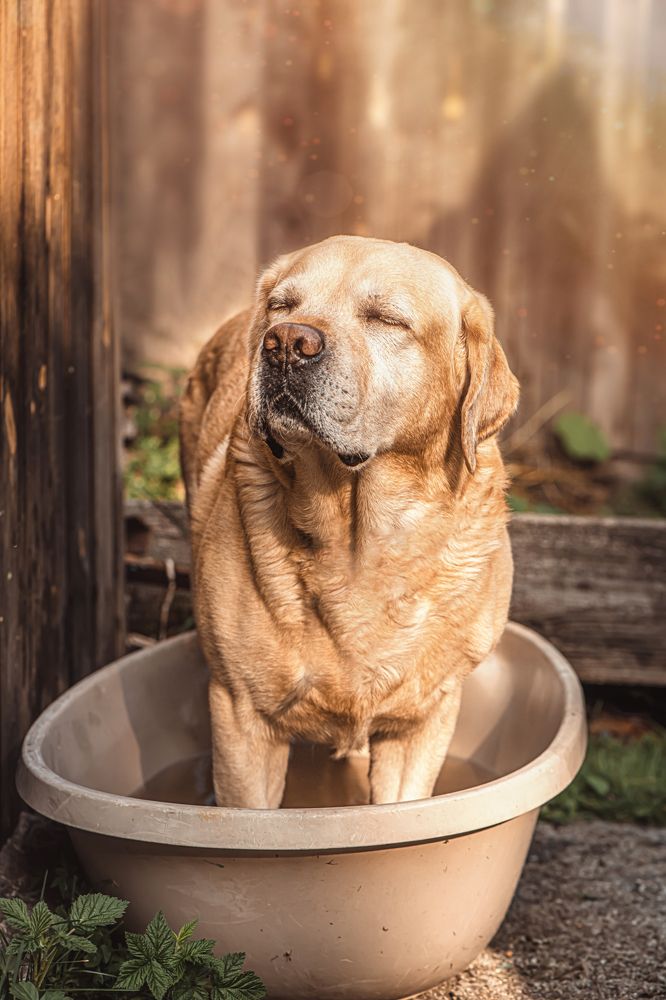 Photograph by Ольга Ильина