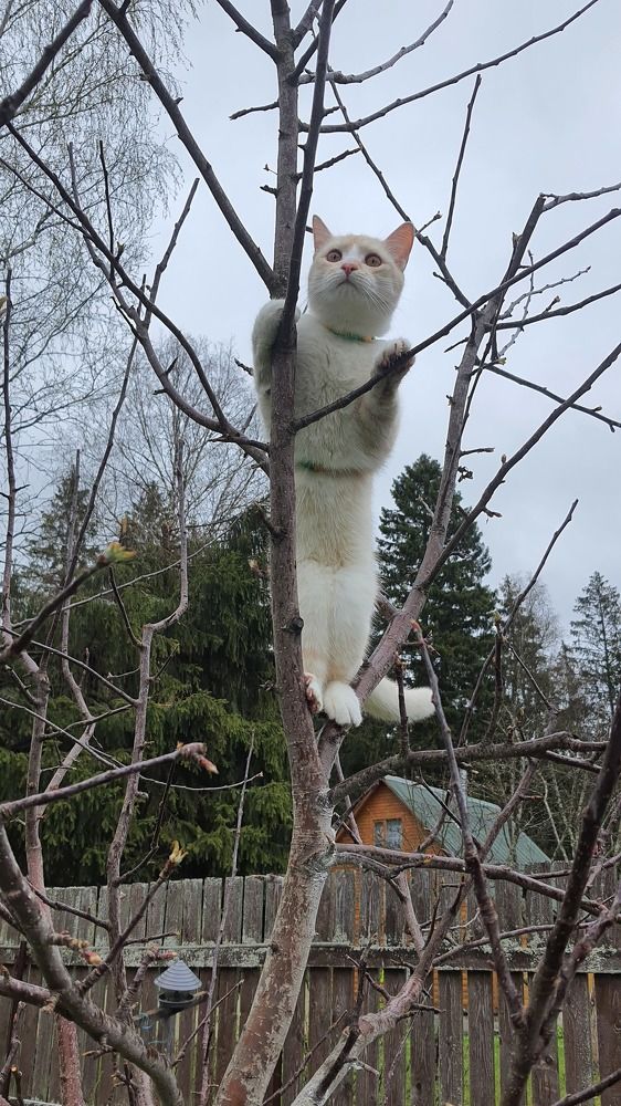 Photograph by Виктория Образцова
