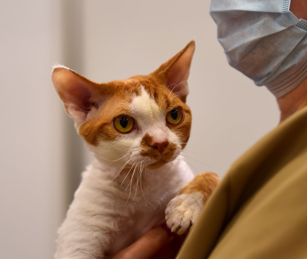 Photograph by Владислав Кравцов