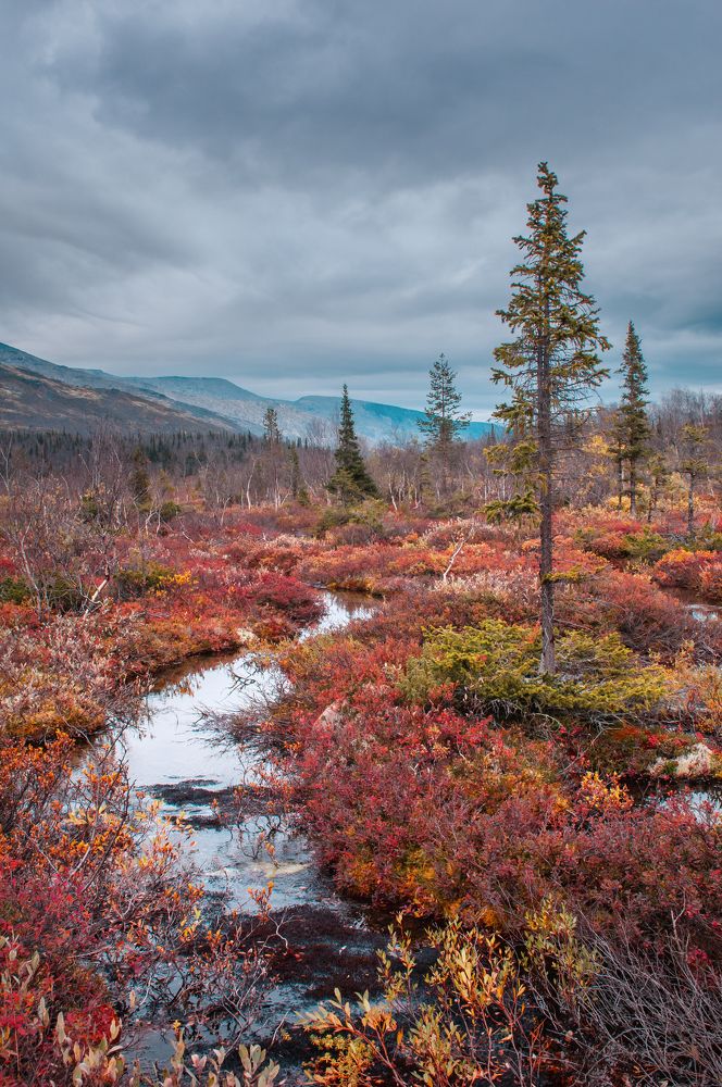 Фотография автора Алексей Новиков