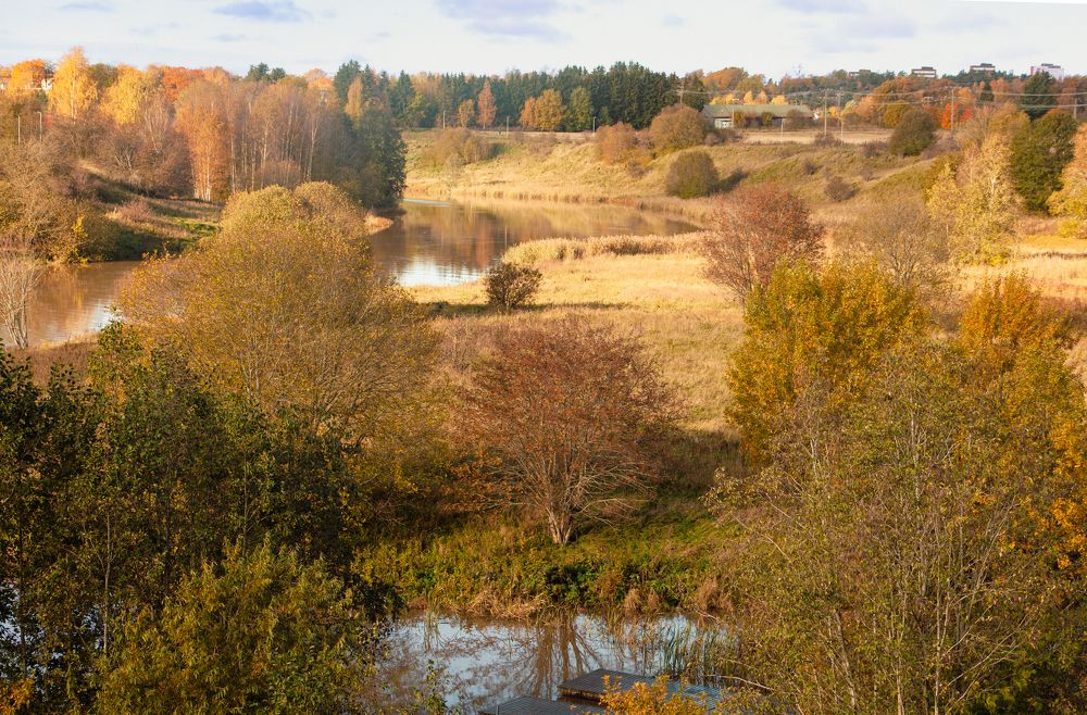 Золото листвы