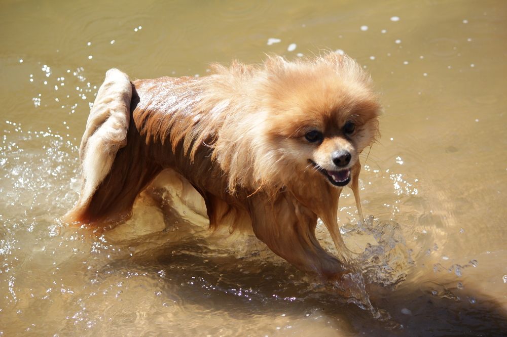 Фотография автора Колосова Елена