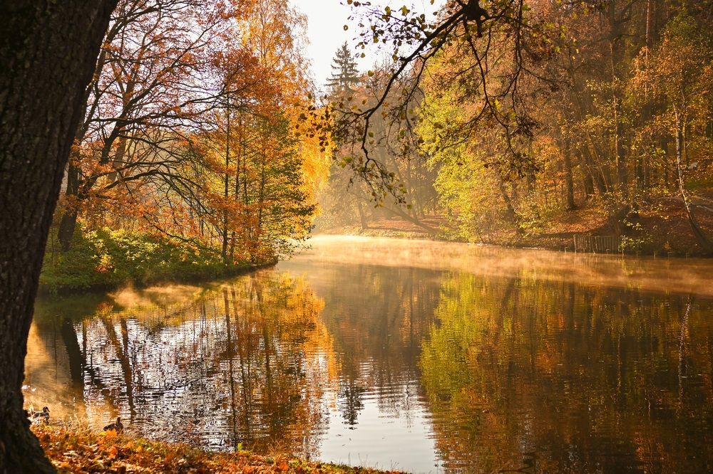 Photograph by Жанна Агафонова