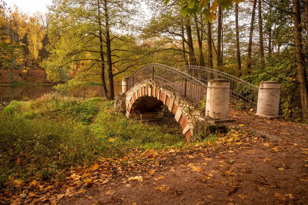 Photograph by Жанна Агафонова