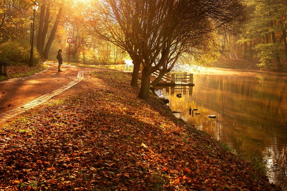 Photograph by Жанна Агафонова