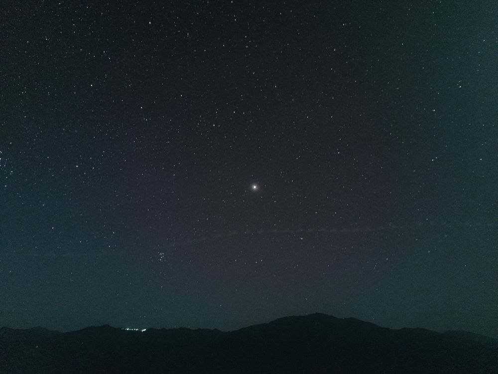 Photo #9721050