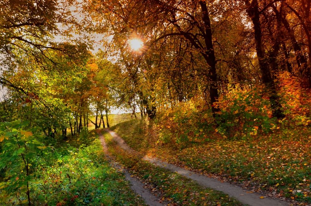 Photograph by Наталья Иванова