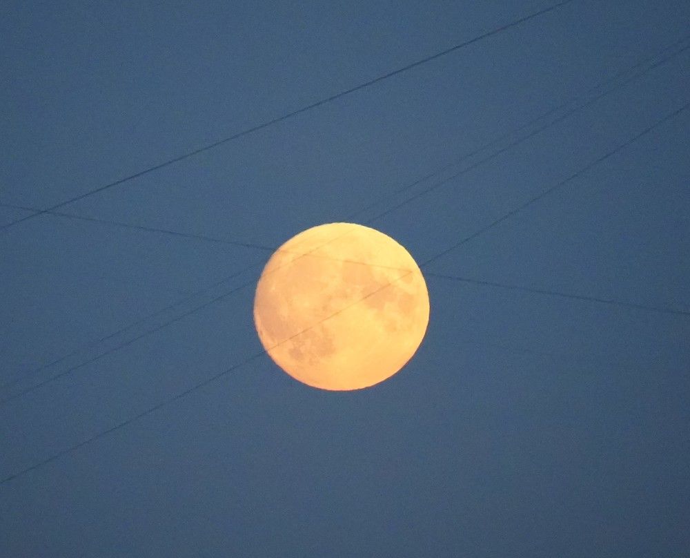 Photograph by Михаил Трусов