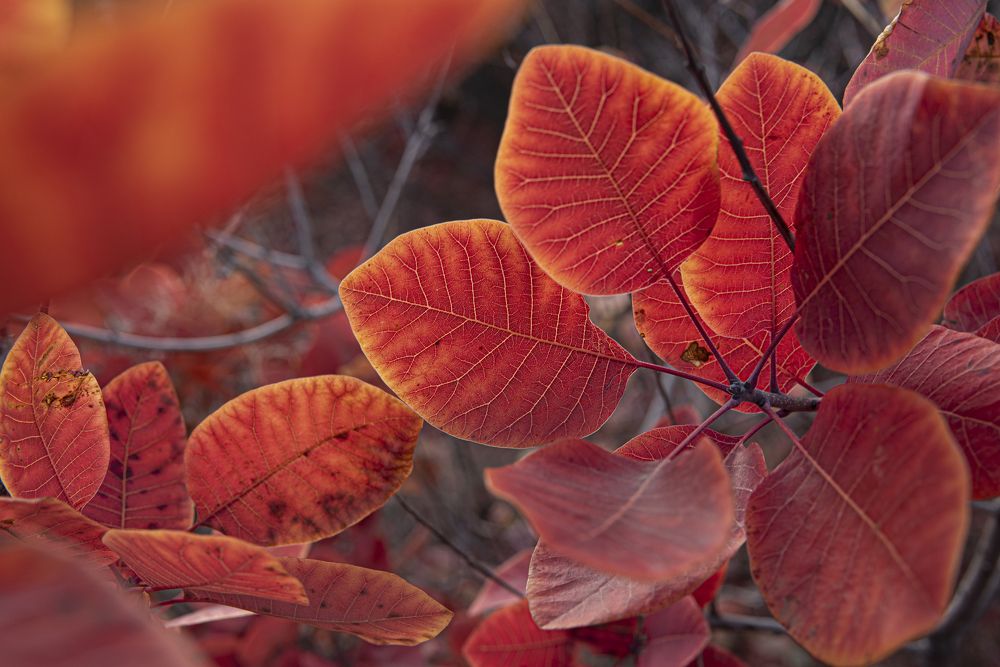 Фотография автора Дмитрий Кетов