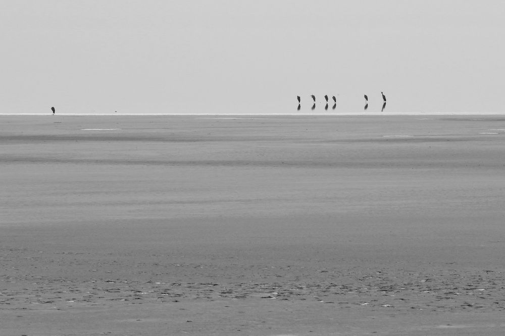 Фотография автора Колосова Елена