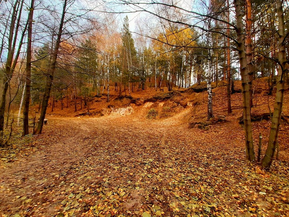 Photograph by Екатерина