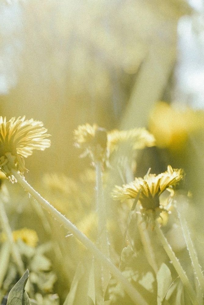 Фотография автора Dar Kirilicheva