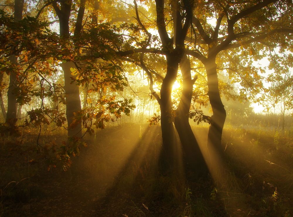 Photograph by Сергей Шляга