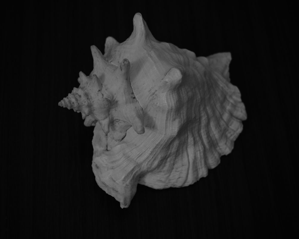 Фотография автора Ирина Мосько