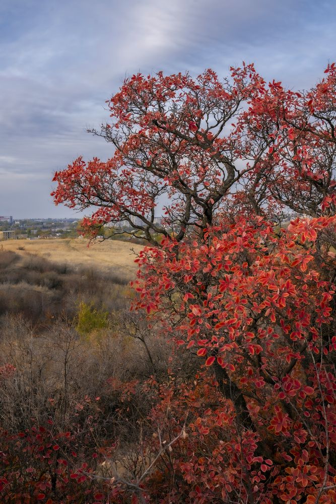 Фотография автора Дмитрий Кетов