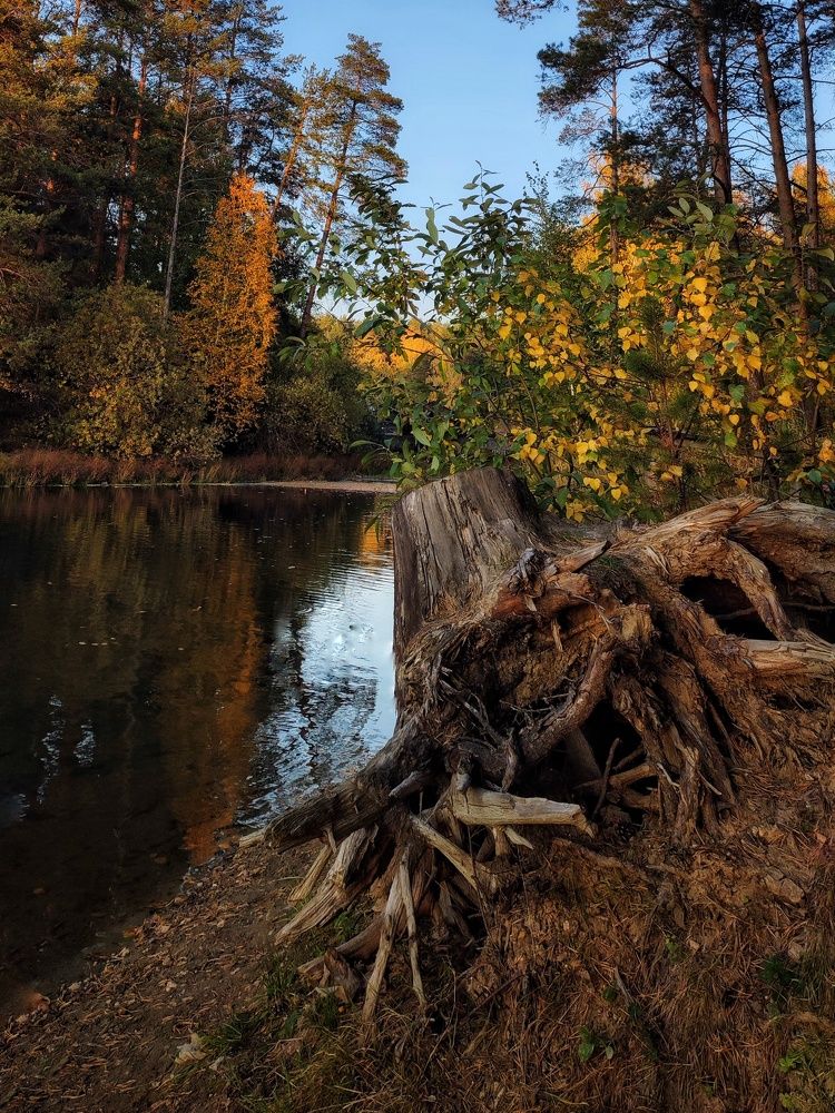 Photograph by Anastasia Malyukova