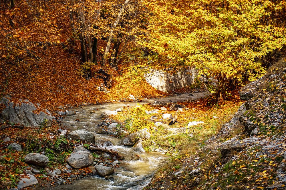 Photograph by DAMOUN POURNEMATI