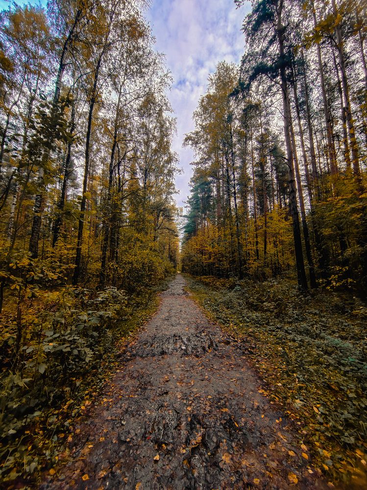 Photograph by Людмила Сарыцина