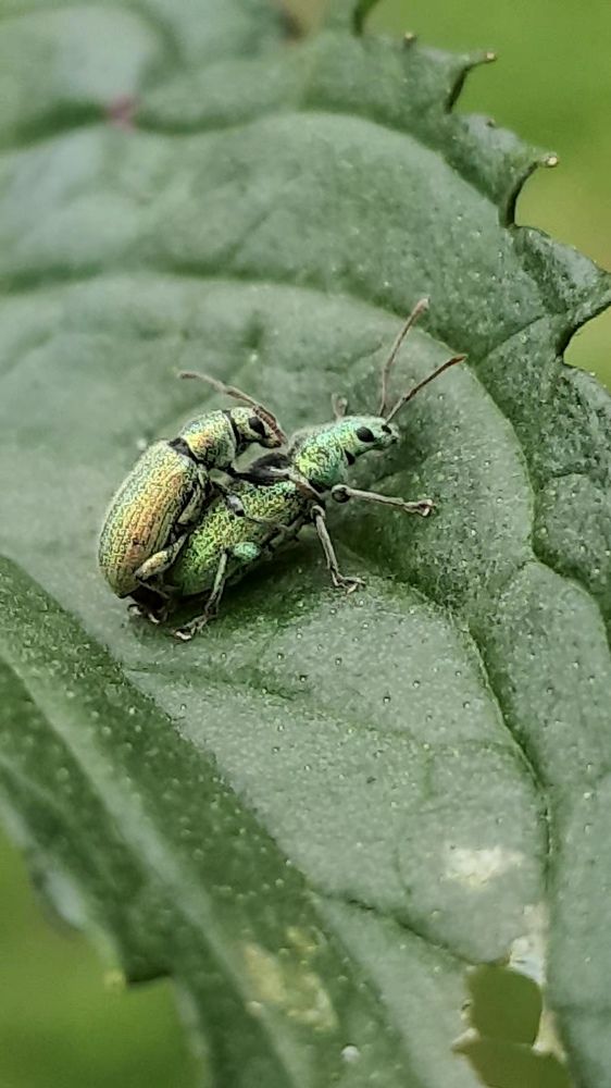 Photograph by Виктория Образцова