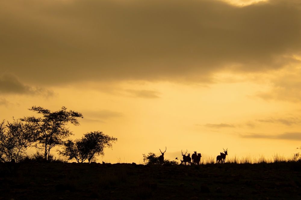 Фотография автора Saurabh Dhanorkar