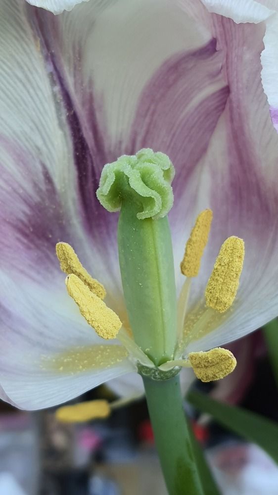 Photograph by Виктория Образцова