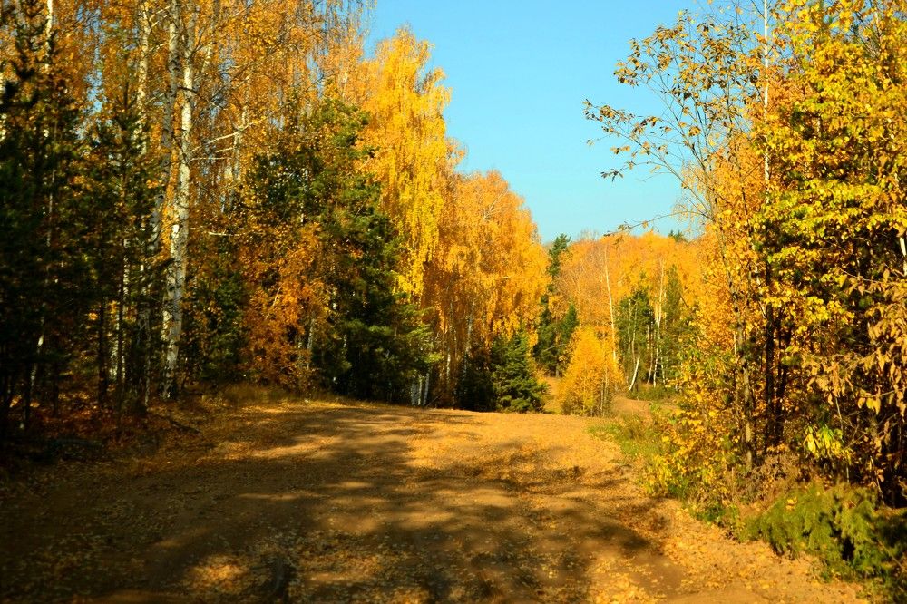 Photograph by Alexandr  Yatsenko