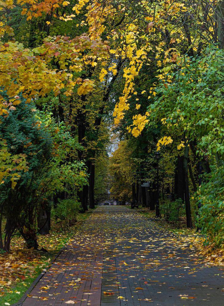 Photograph by Сергей Басов