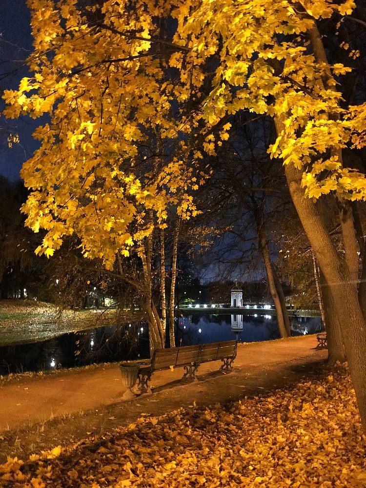 Осень в Михалково.