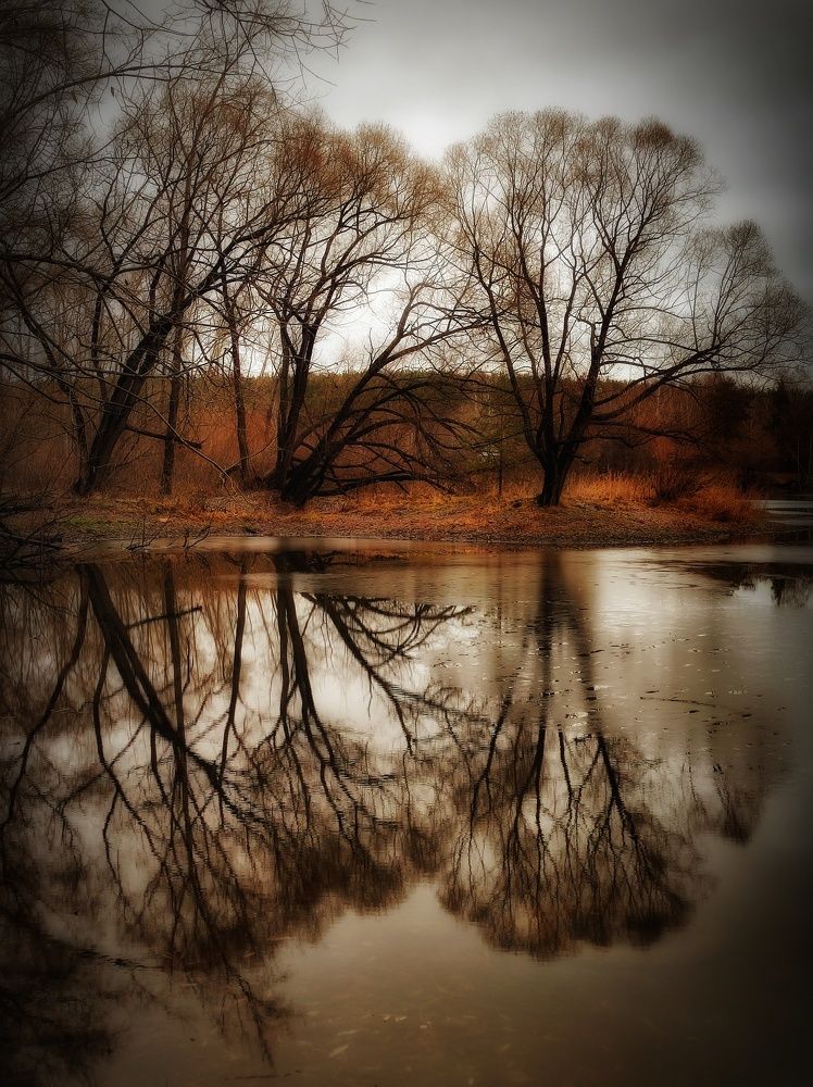 Photograph by Anastasia Malyukova